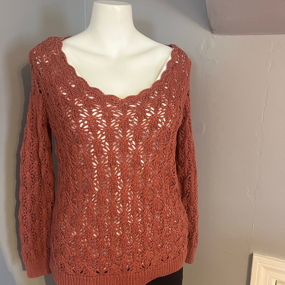 LOFT  V-Neck Sweater with Lacy Knit
